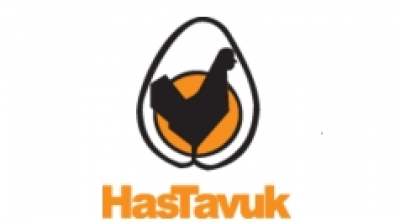 HasTavuk