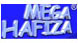 Mega Hafıza