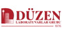 Düzen Laboratuvarı