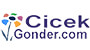 Çiçek Gönder