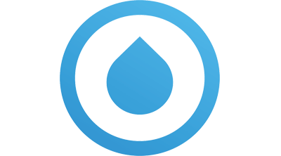 Bisu