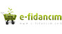 E-fidancım