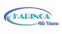 Karınca Halı Yıkama