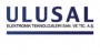 Ulusal Elektronik