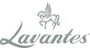 Lavantes