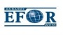 Efor AVM