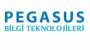 Pegasus Bilgi Teknolojileri