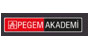 Pegem Akademi