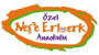 Neşe Erberk Okulları