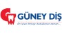 Güney Diş