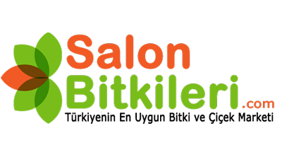 Salonbitkileri.com