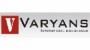 Varyans Bilişim
