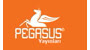 Pegasus Yayınları